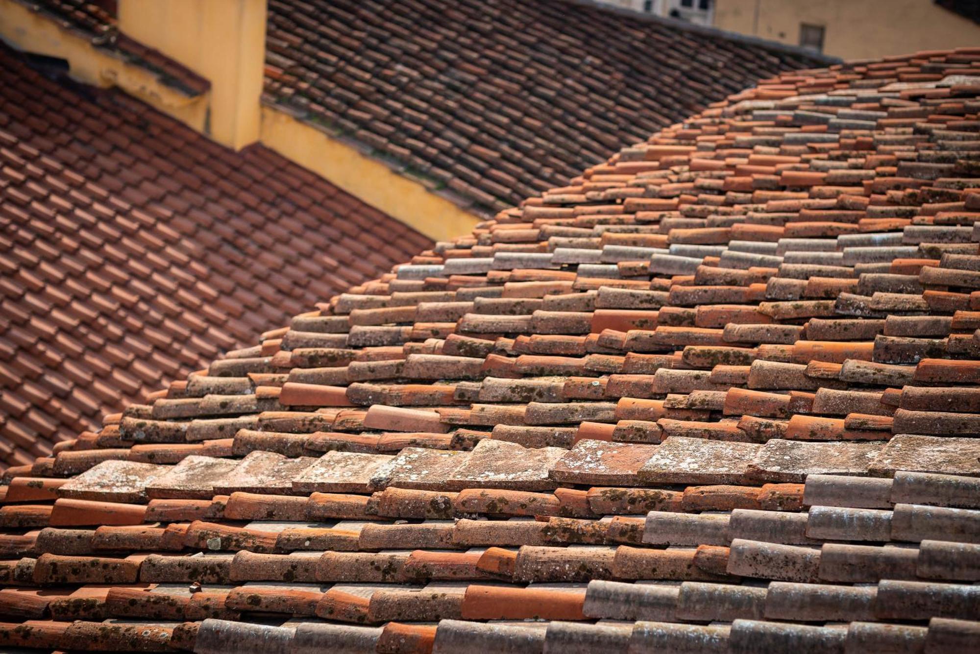 Novella House Florencia